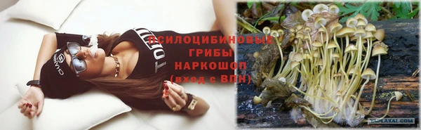 спайс Богородицк