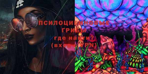 крисы Богданович