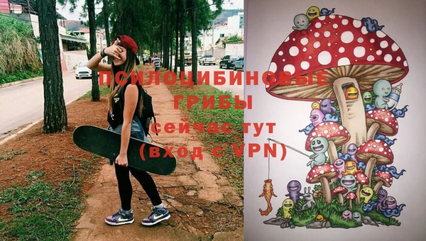 ALPHA-PVP Богородск