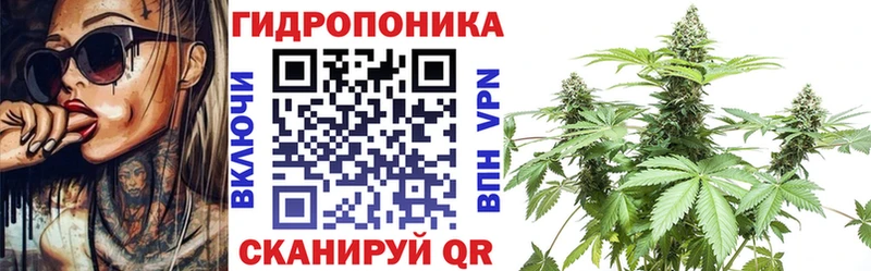 Каннабис ГИДРОПОН Вязники